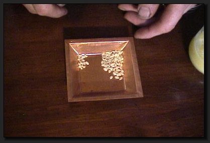 Hier sehen Sie die Menge Reis, die fr ein Agnihotra bentigt wird