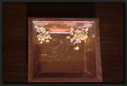 Die Reiskrner werden mit Ghee vermengt